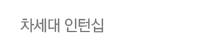 차세대 인턴십